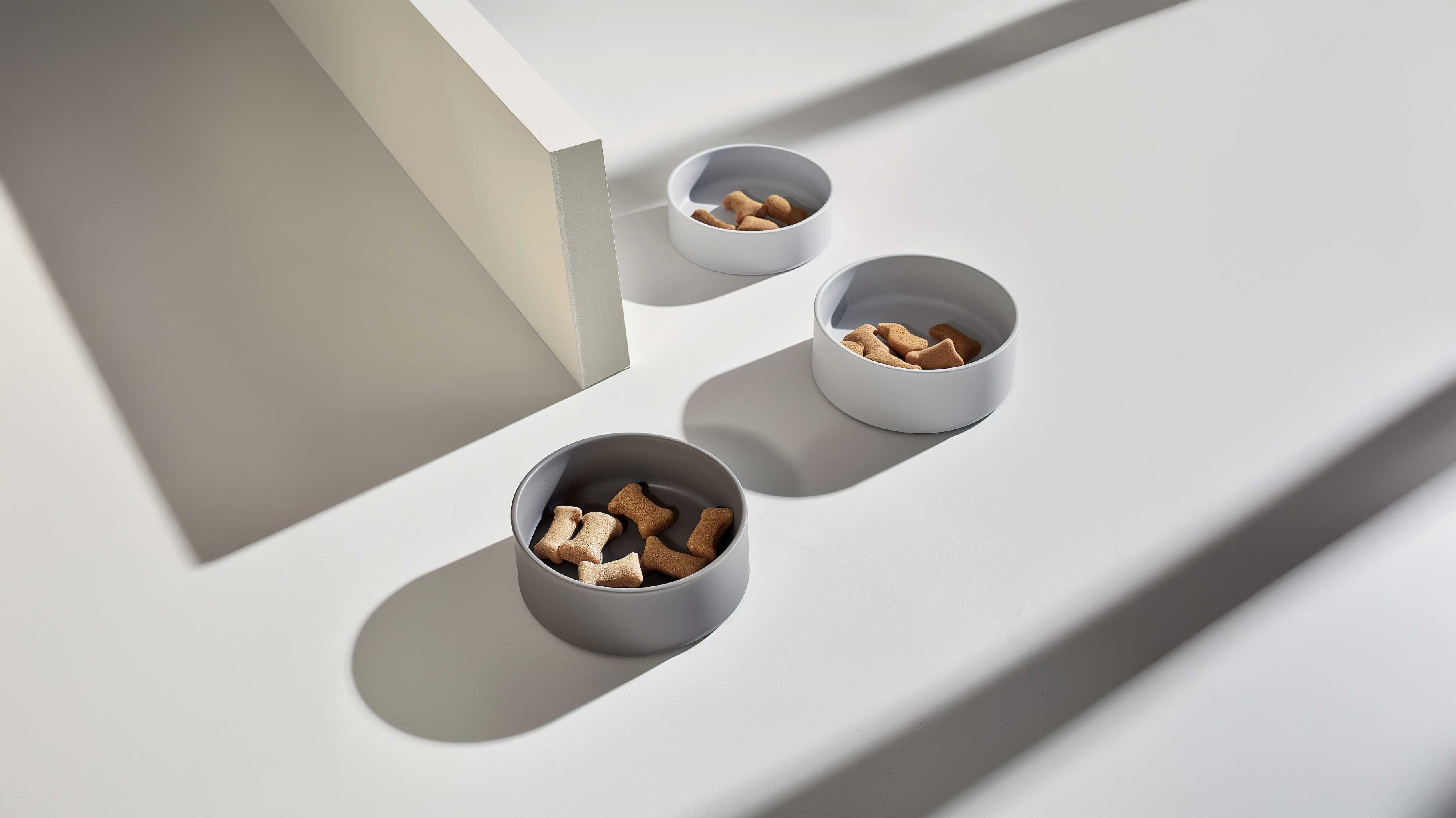 Distributeur Automatique de Nourriture pour Chat et Chien 4L - Programmable